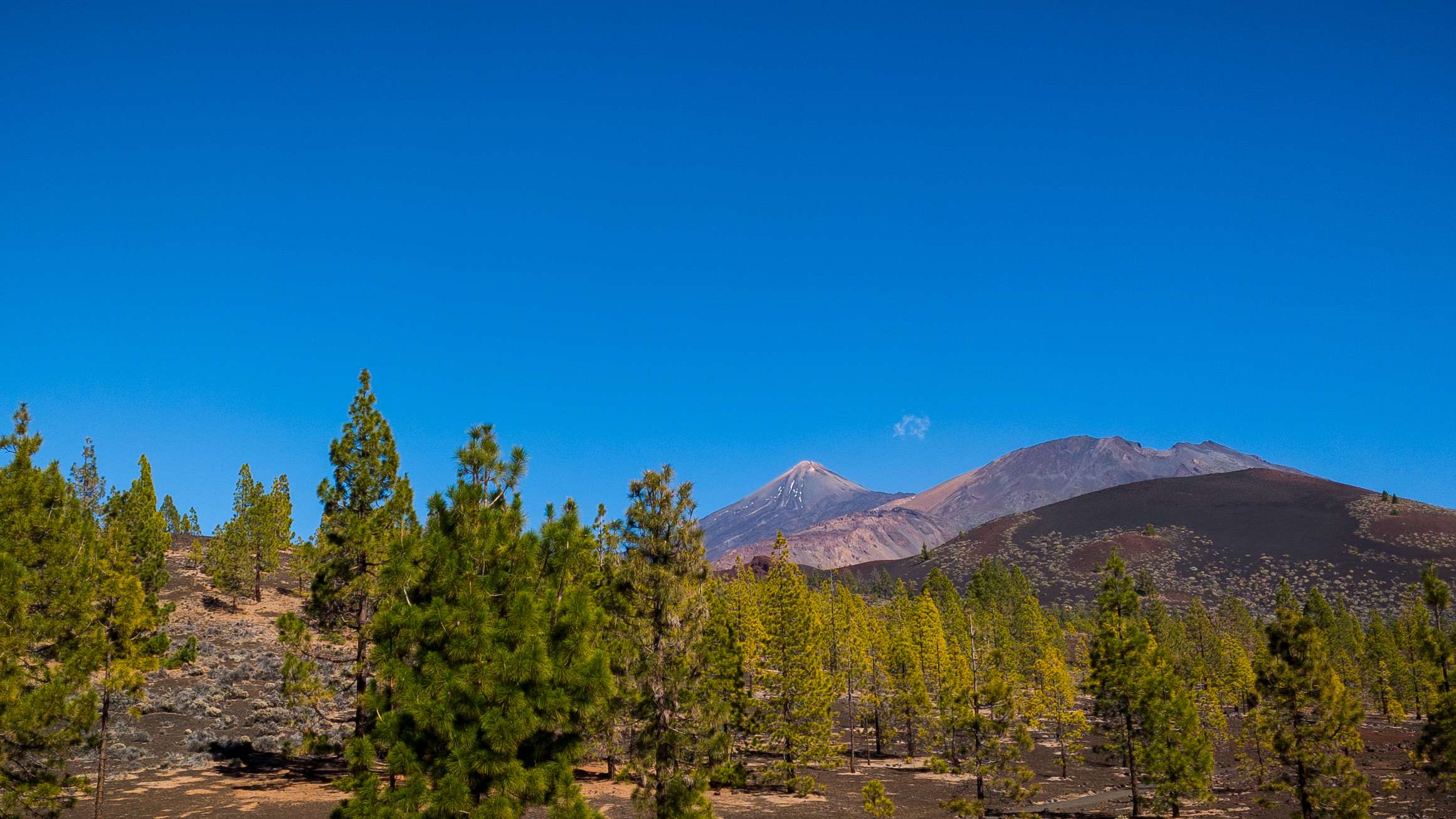 Galerie Photo de Tenerife